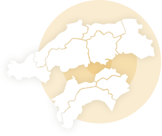 主な対応エリア