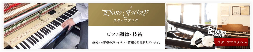 スタッフブログ