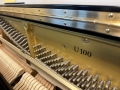ヤマハ U-100  -中古ピアノ- ＜現在調整中＞